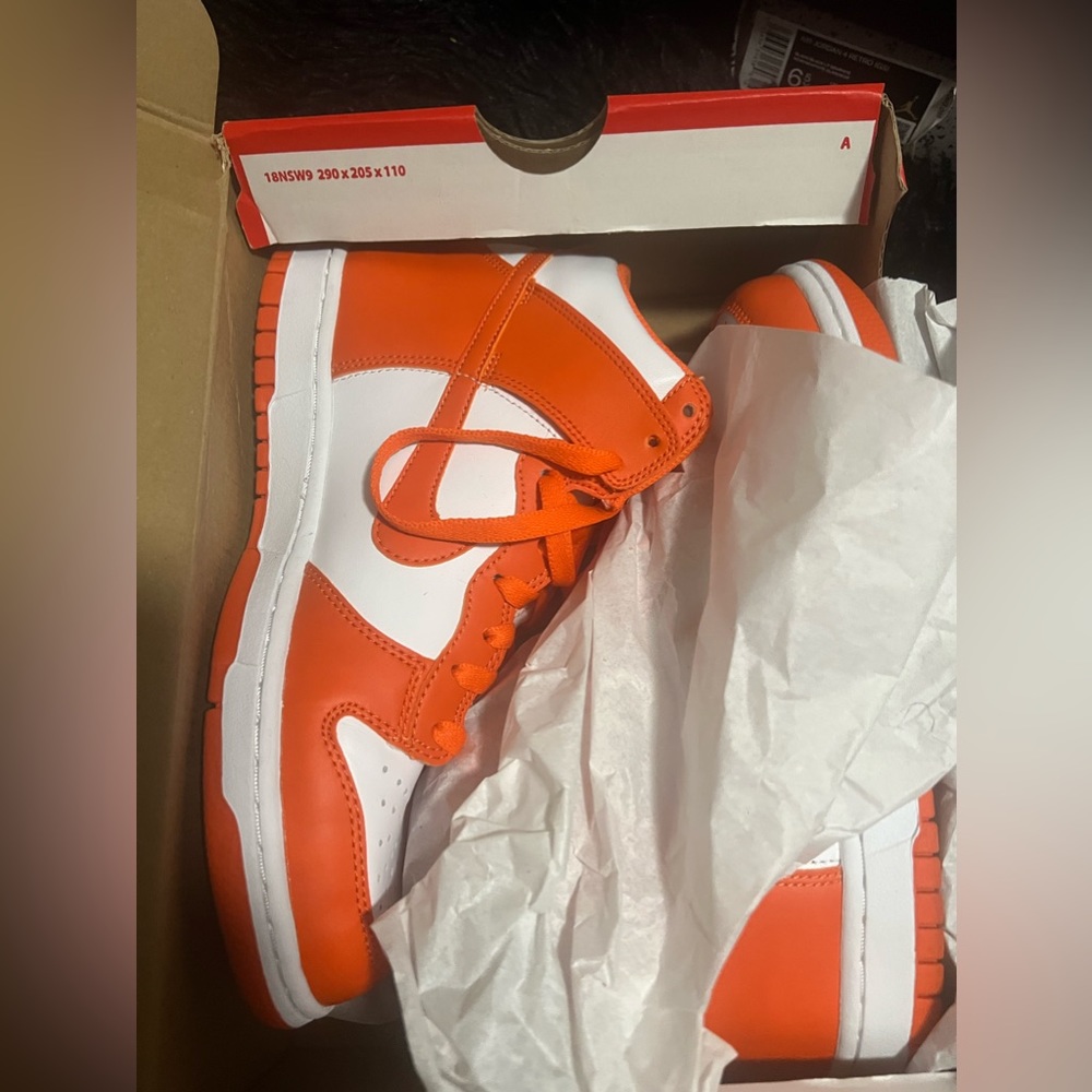 Nike Syracuse Dunks